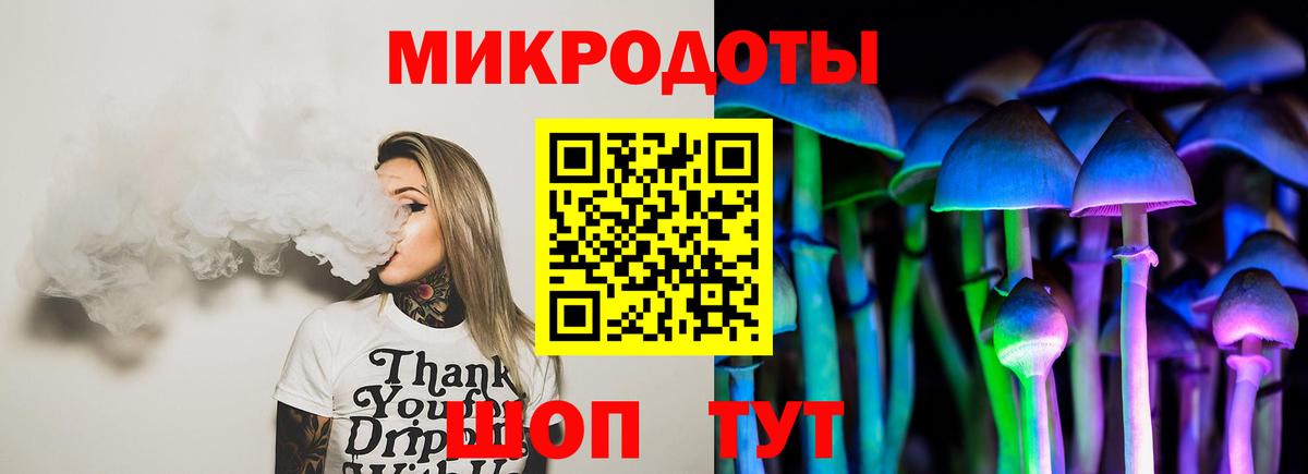 Галлюциногенные грибы Cubensis  Вход с VPN  Черняховск 